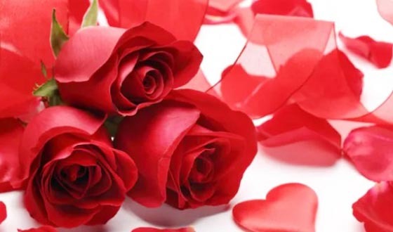 বিশ্ব ভালোবাসা দিবস