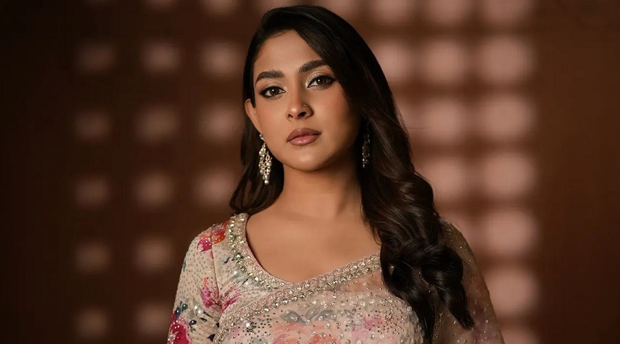 ১৪ বোতল মদের ঘটনায় আইনি পদক্ষেপ নিলেন মেহজাবীন