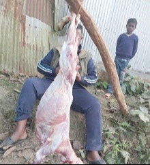 কচাকাটায় শোকের দিনে খাসি দিয়ে ভুরিভোজ