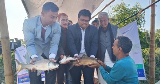 হালদা নদীতে মাছের পোনা অবমুক্ত