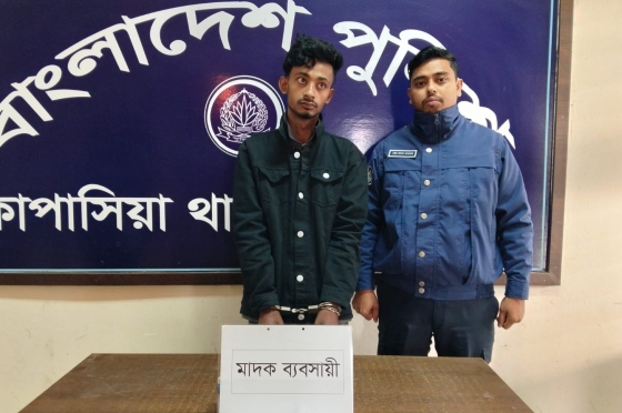 কাপাসিয়ায় ইয়াবাসহ এক যুবক গ্রেফতার