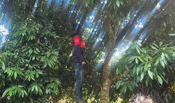 কালীগঞ্জে যুবকের ঝুলন্ত মরদেহ উদ্ধার