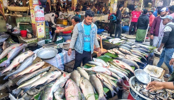 উত্তরায়ন সংক্রান্তি উৎসব উপলক্ষে কমলগঞ্জে বিরাট মাছের মেলা