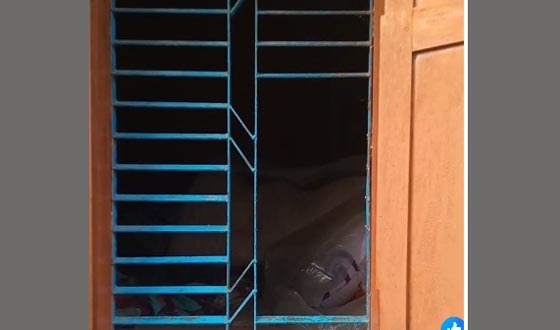 আশাশুনির প্রতাপনগরে বাড়ির মালিককে অজ্ঞান করে দস্যুবৃত্তি