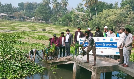 ঐতিহ্যবাহী সরল খাঁ দীঘির কচুরিপানা অপসারণ