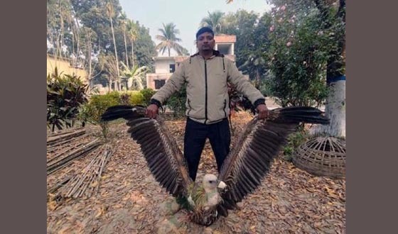 মহেশপুরে হিমালয়ান শকুন উদ্ধার