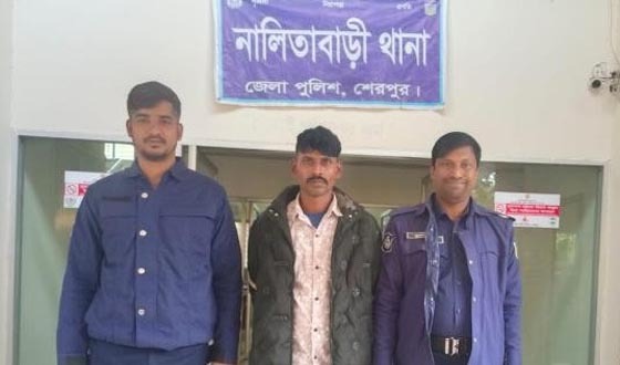 নালিতাবাড়ীতে চোরাকারবারি সিন্ডিকেটের সদস্য গ্রেপ্তার