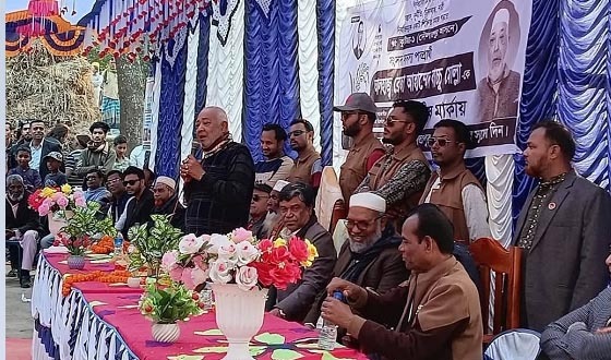 দৌলতপুরে ধানের শীষের পক্ষে নির্বাচনী গণসংযোগ