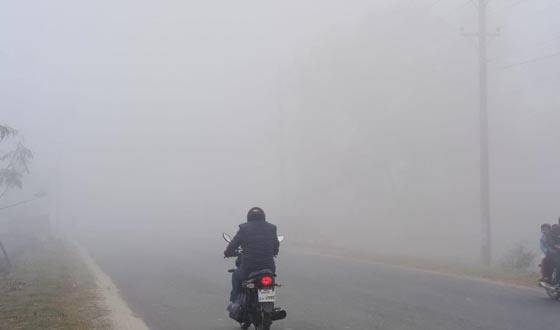 পত্নীতলায় হঠাৎ ঘন কুয়াশার হানা