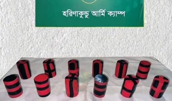 হরিণাকুন্ডুতে ১২ তাজা ককটেল উদ্ধার