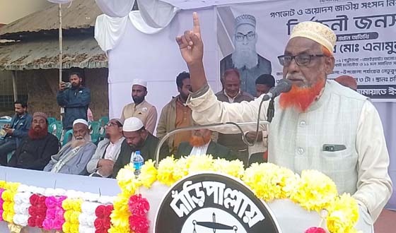 এম.পি পদের বেতন ভাতা জনগণকে বিলিয়ে দিব: এনামুল হক