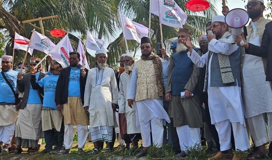 বরিশাল-৬ আসনের ভাগ্য নির্ধারণের ভোট: মাহমুদুন্নবী