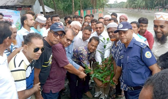 নির্বাচনের আগে দেয়া প্রতিশ্রুতি বাস্তবায়নে কাজ করছে সরকার: এমপি মোশাররফ