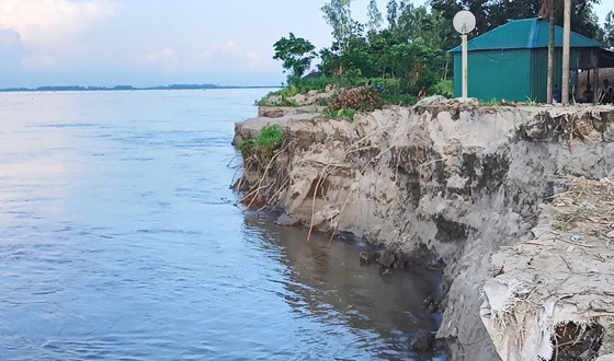 কুড়িগ্রামে দুধকুমার নদীর ভাঙন আতঙ্কে দিশেহারা ৩ শতাধিক পরিবার