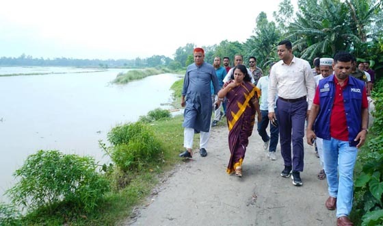 নকলায় নদীভাঙন কবলিত এলাকা পরিদর্শন করলেন জেলা প্রশাসক