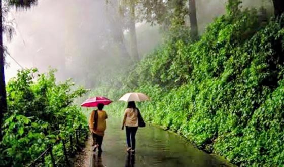 অপরূপে সেজেছে শেরপুরের বৃষ্টি ভেজা গারো পাহাড়