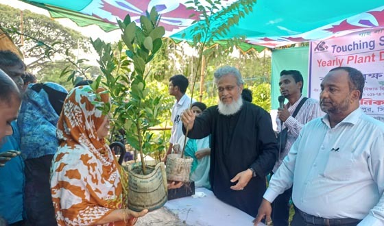 মুন্সীগঞ্জে সবুজায়নে টাচিং সোলস ইন্টারন্যাশনালের গাছের চারা বিতরণ