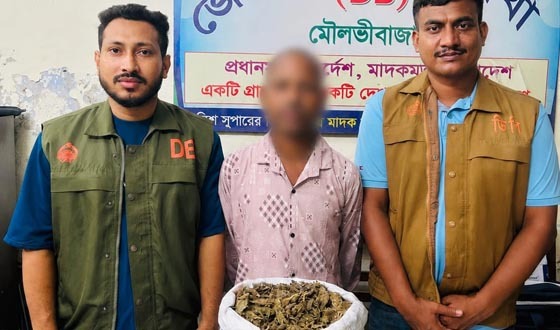 মৌলভীবাজার অভিযানে গাঁজাসহ মাদক কারবারি গ্রেফতার