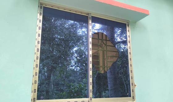রাতের আঁধারে ছাত্রদল নেতার ভবন ভাংচুর