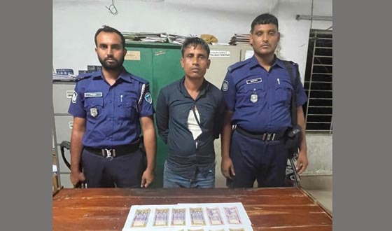 নাসিরনগরে জাল নোটসহ যুবক  আটক,পুলিশে সোপর্দ