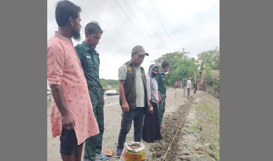 কয়রায় বাবলার বীজ রোপনের মাধ্যমে বৃক্ষ রোপন