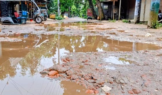 শেরপুর-গাজীরখামার-নালিতাবাড়ী সড়কের বেহাল দশা, দুর্ভোগে মানুষ