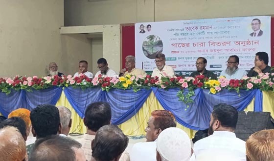 সেনবাগে বিএনপির উদ্যোগে গাছের চারা বিতরণ