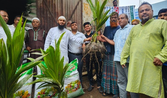 আমতলীতে সাড়ে ৬ হাজার গাছের চারা ও সার বিতরণ