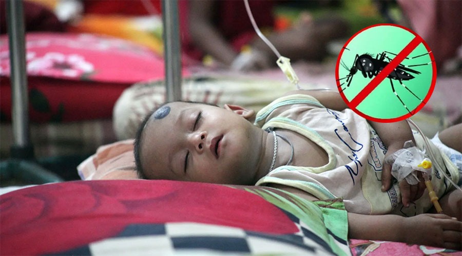 হঠাৎ ডেঙ্গুর প্রভাব: ২৪ ঘণ্টায় ৫ জনের মৃত্যু, হাসপাতালে ১২৪