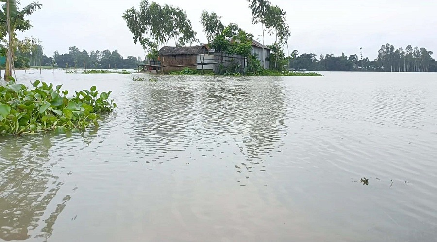 প্লাবিত কুড়িগ্রামের নিম্নাঞ্চল, পানিবন্দী প্রায় ১০ হাজার মানুষ