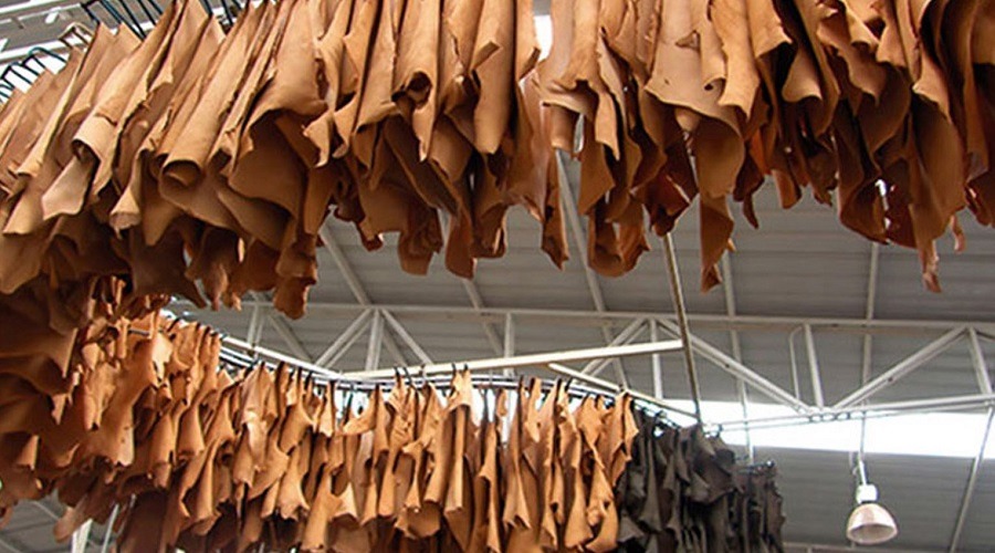 গভীর সংকটে দেশের চামড়া শিল্প