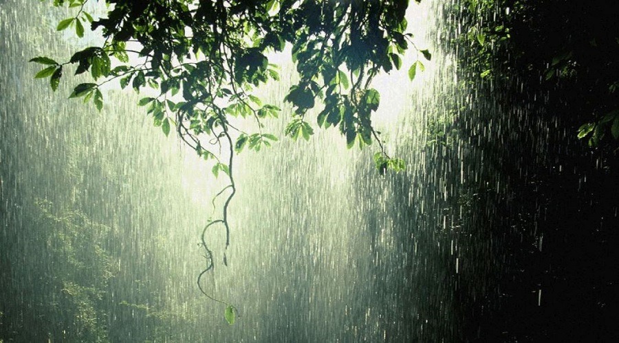 তিন বিভাগে বৃষ্টির আভাস, বাড়তে পারে তাপমাত্রা