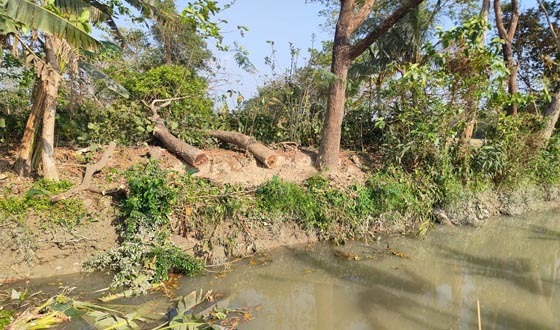 এ্যাডভেন্সার শিপ বিল্ডার্সের জমির গাছ কেটে নেয়ার অভিযোগ