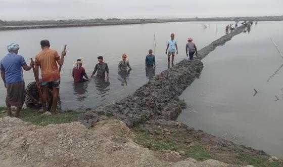 আশাশুনির মহিষকুড়ে জবর দখলকৃত মৎস্য ঘের শালিসী সিদ্ধান্তে পুনরুদ্ধার