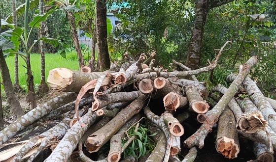 ফুলবাড়ীয়ায় এক প্রবাসীর স্বপ্ন একদিনেই শেষ