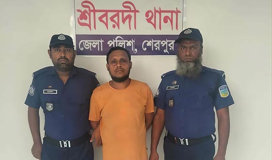 শ্রীবরদীতে ইয়াবাসহ কারবারি আটক