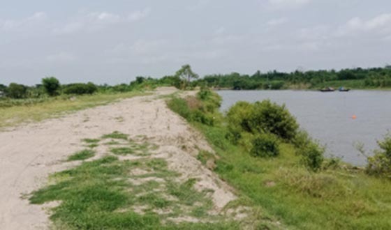 বাঁকড়ায় সড়কের গাছ কেটে আত্মসাৎ ও বনায়নের ক্ষতির প্রতিকার প্রার্থনা