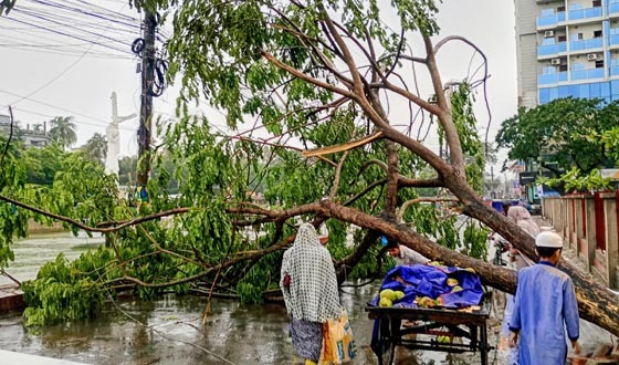 চাঁদপুরে ঝড়ের তাণ্ডব, ব্যাপক ক্ষয়ক্ষতি