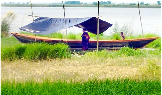 পদ্মাপারে নৌকা ও কারেন্ট জাল তৈরির ব্যস্ততা