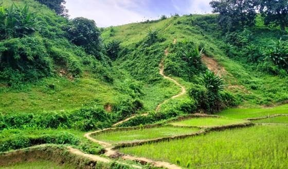 ‘হারিয়াকোনা’ গারো পাহাড়ের নিঝুম অরণ্য