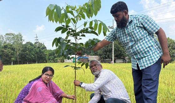 কাহারোলে বৃক্ষ রোপন কর্মসূচীর উদ্বোধন