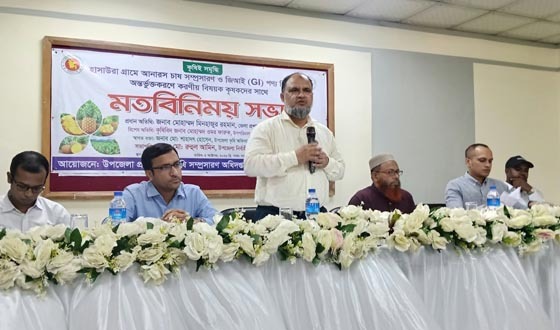 হাসাউড়ার আনারসকে জিআই পণ্যের স্বীকৃতি দিতে কাজ চলছে