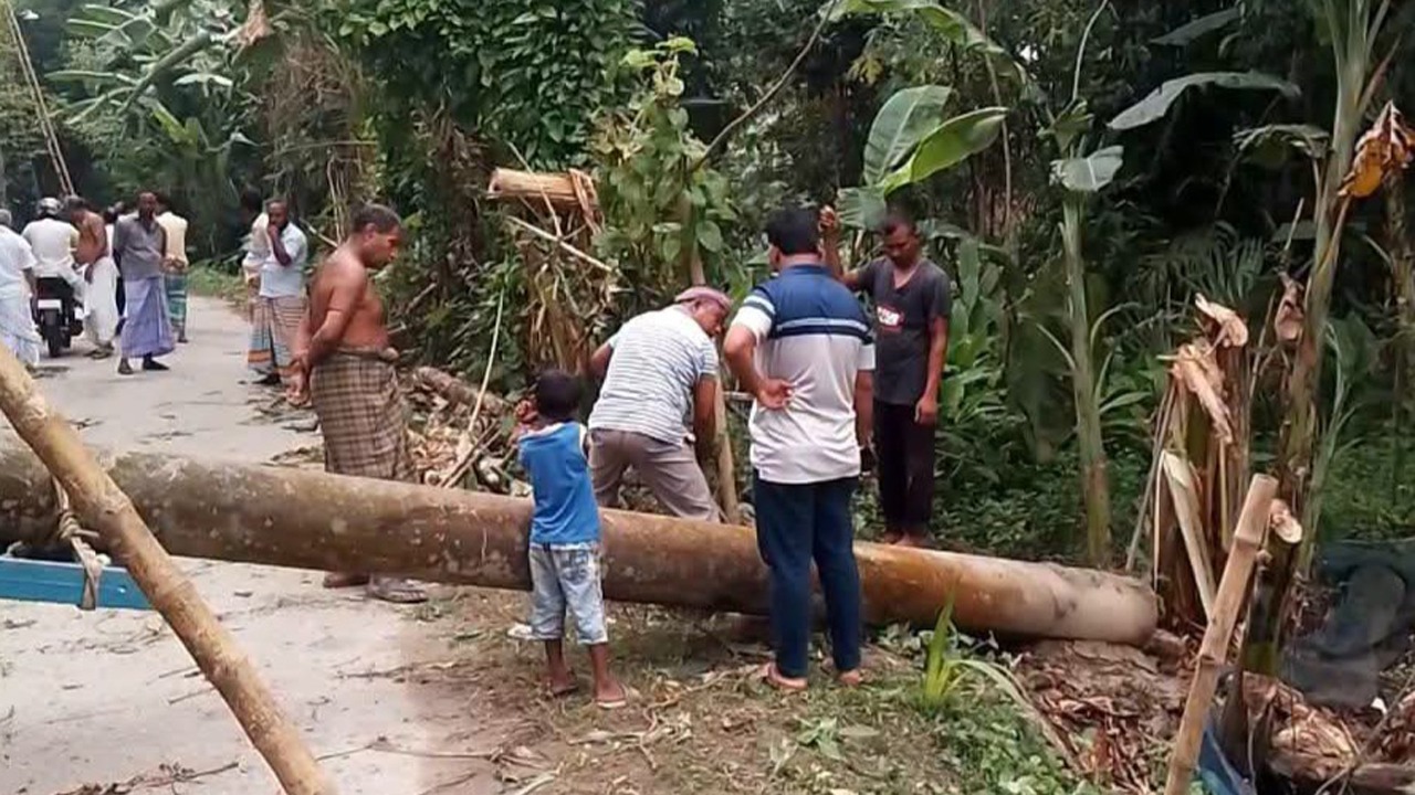 সৈয়দপুরে বিভিন্ন স্থানে নড়বড়ে বিদ্যুতের খুঁটি, দুর্ঘটনার শঙ্কা
