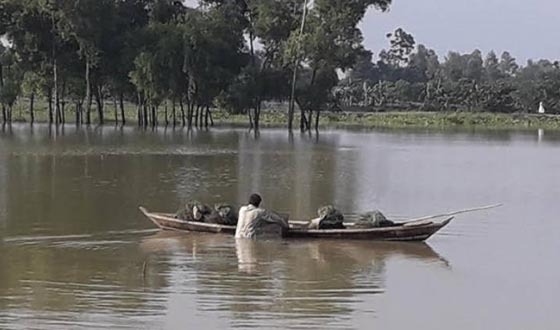 চায়না দুয়ারী জাল ব্যবহারে শেরপুরে অস্তিত্ব সংকটে দেশীয় মাছ