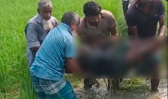সেনবাগে ইঁদুর মারার বৈদ্যুতিক ফাঁদে প্রাণ গেল পোল্ট্রি ব্যবসায়ীর