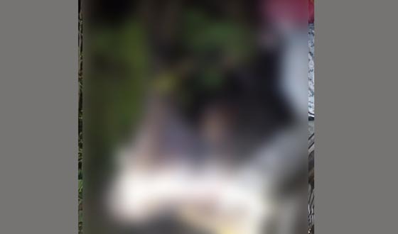 ক্ষেতলালে অসুস্থ গরু জবাই করে মাংস বিক্রির চেষ্টা, জরিমানা