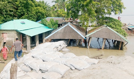 দাকোপে ভয়াবহ ভাঙনে ৫০ মিটার বেড়ীবাঁধ নদীগর্ভে