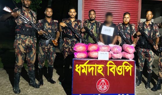 দৌলতপুর সীমান্তে ভারতীয় গাঁজা, মদ ও মাদকদ্রব্য উদ্ধার, আটক ১