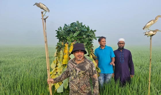 শেরপুরে পাখি শিকার বন্ধে বিশেষ অভিযান