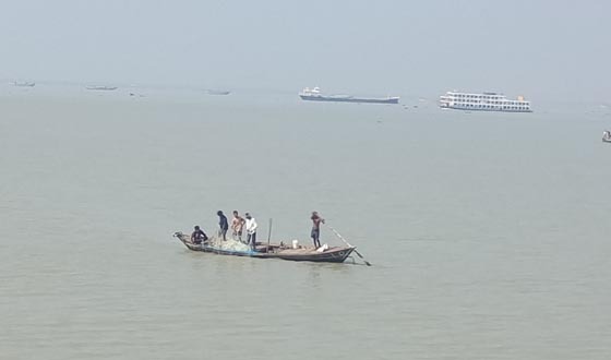 মেঘনা নদীতে মা ইলিশ সংরক্ষণ অভিযানের মধ্যেও থেমে নেই মাছ নিধন